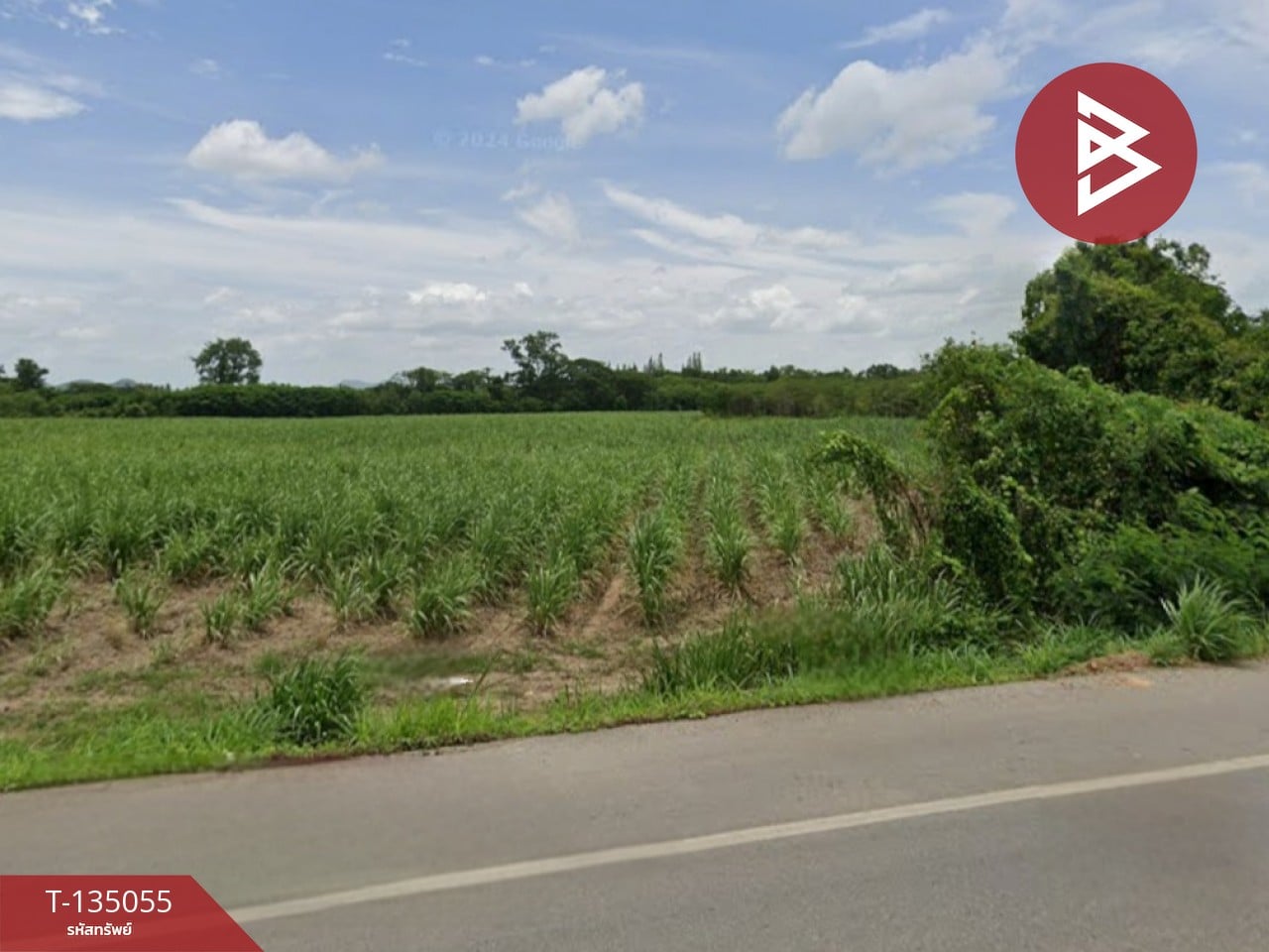 ขายที่ดิน เนื้อที่ 28 ไร่ 2 งาน 69.4 ตร.วา ท่ายาง เพชรบุรี 3