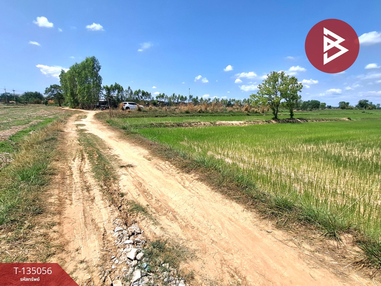 ขายที่ดิน เนื้อที่ 4 ไร่ 1 งาน 74 ตร.วา จังหาร ร้อยเอ็ด 3