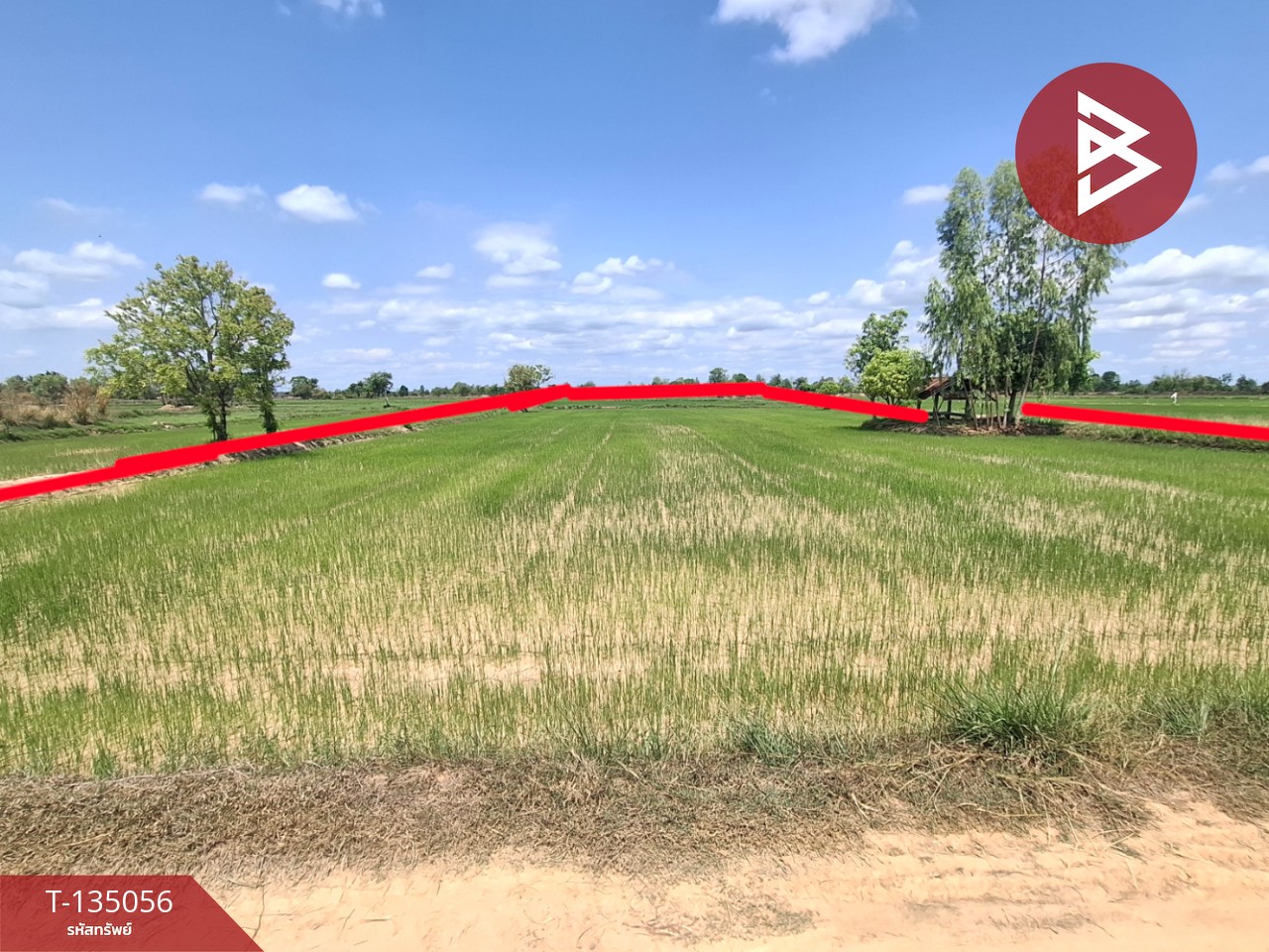 ขายที่ดิน เนื้อที่ 4 ไร่ 1 งาน 74 ตร.วา จังหาร ร้อยเอ็ด 4