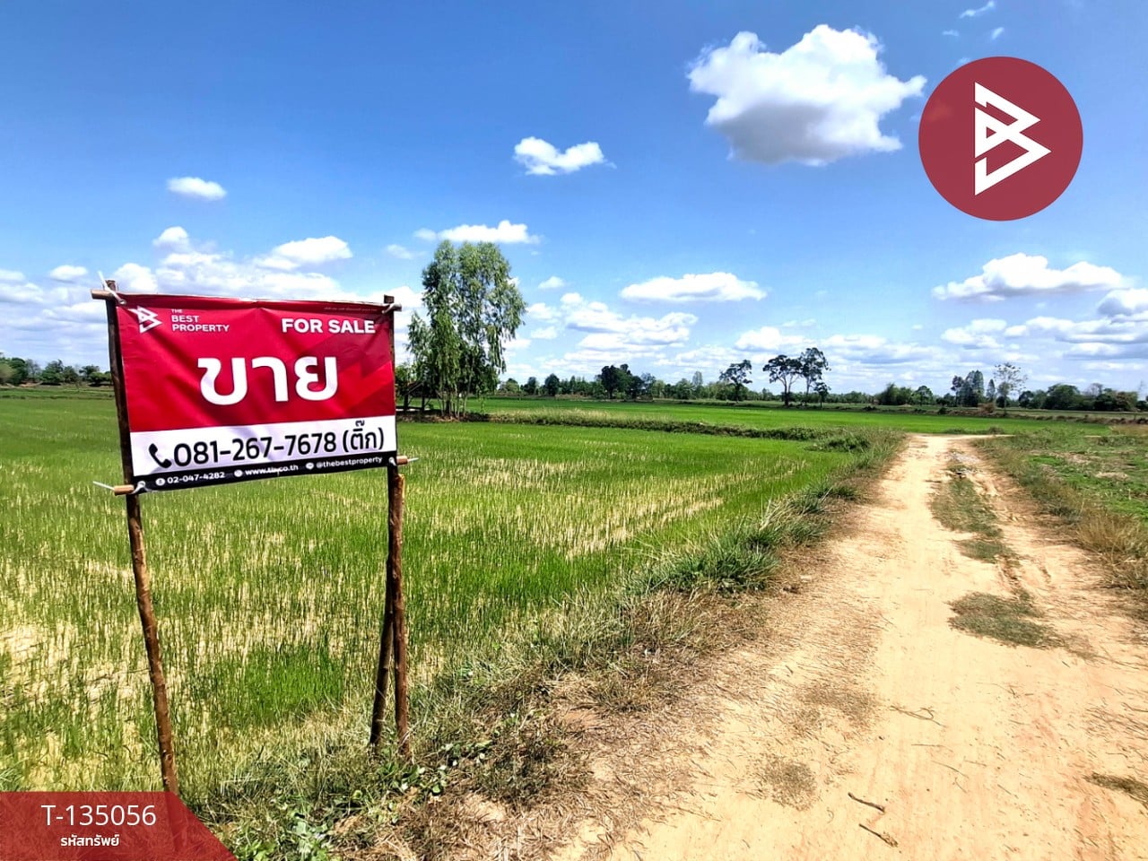 ขายที่ดิน เนื้อที่ 4 ไร่ 1 งาน 74 ตร.วา จังหาร ร้อยเอ็ด 2