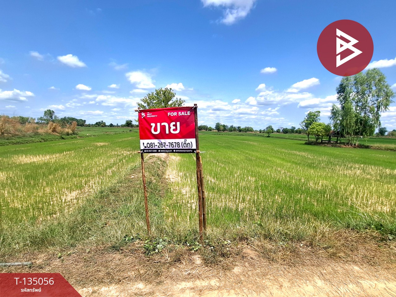 ขายที่ดิน เนื้อที่ 4 ไร่ 1 งาน 74 ตร.วา จังหาร ร้อยเอ็ด 6