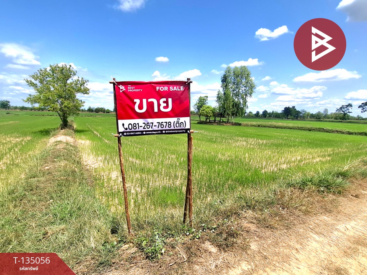 ขายที่ดิน เนื้อที่ 4 ไร่ 1 งาน 74 ตร.วา จังหาร ร้อยเอ็ด 1