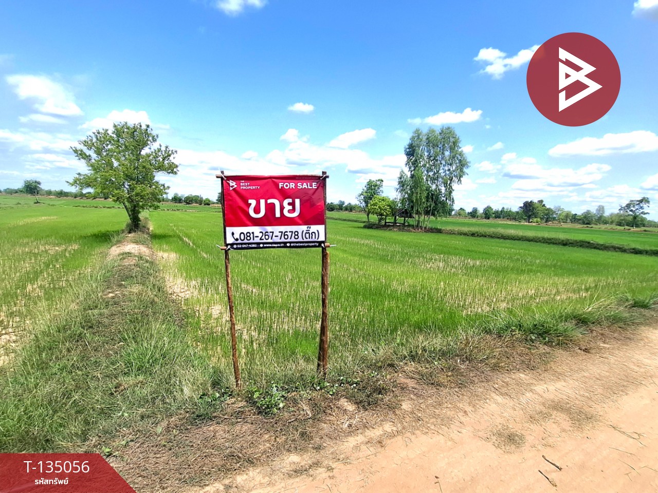 ขายที่ดิน เนื้อที่ 4 ไร่ 1 งาน 74 ตร.วา จังหาร ร้อยเอ็ด 8