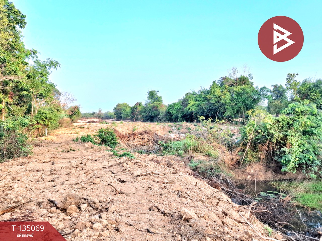 ขายที่ดิน เนื้อที่ 7 ไร่ 44.3 ตร.วา โนนรัง ร้อยเอ็ด 13