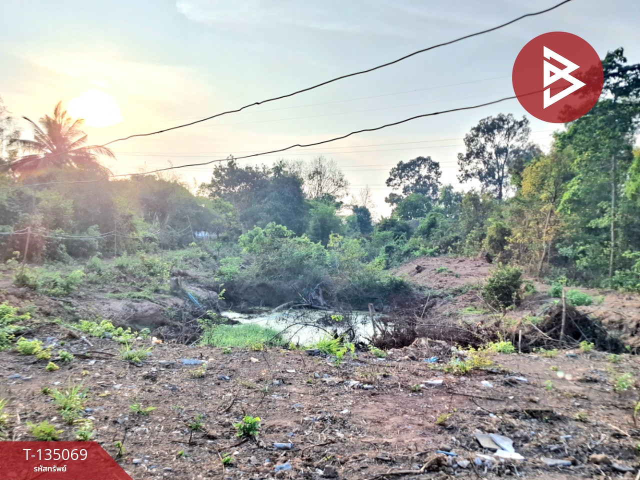 ขายที่ดิน เนื้อที่ 7 ไร่ 44.3 ตร.วา โนนรัง ร้อยเอ็ด 8