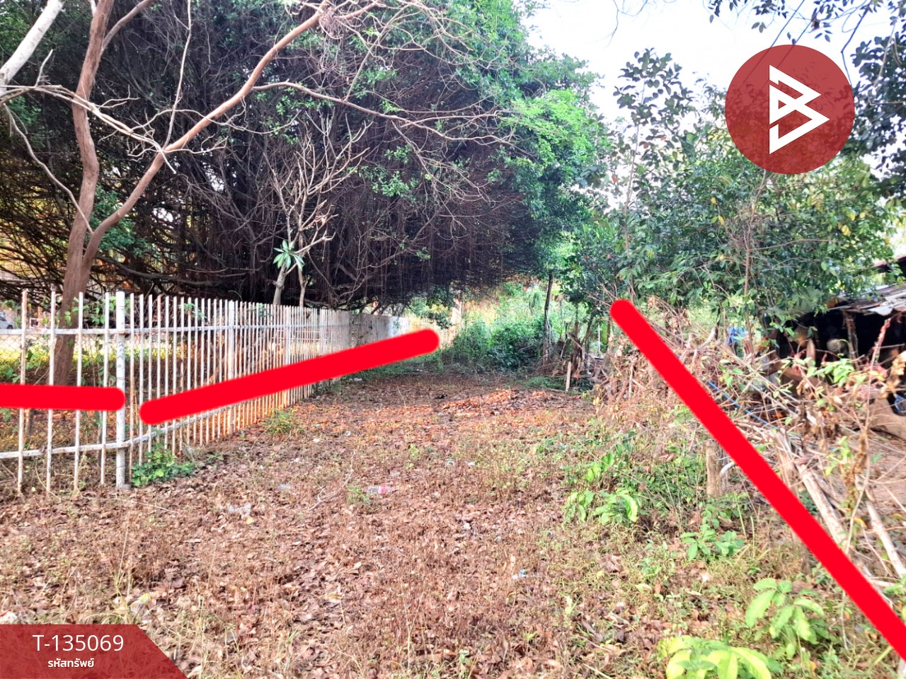 ขายที่ดิน เนื้อที่ 7 ไร่ 44.3 ตร.วา โนนรัง ร้อยเอ็ด 10