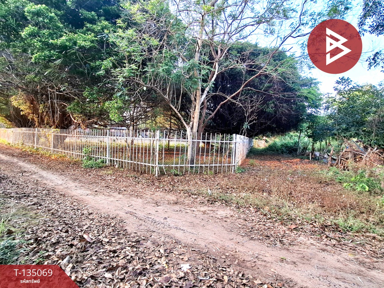 ขายที่ดิน เนื้อที่ 7 ไร่ 44.3 ตร.วา โนนรัง ร้อยเอ็ด 3