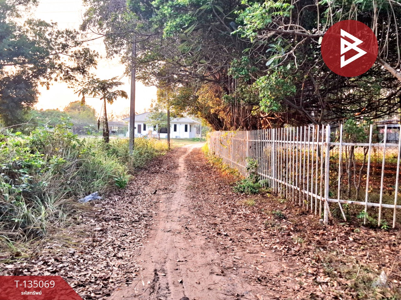 ขายที่ดิน เนื้อที่ 7 ไร่ 44.3 ตร.วา โนนรัง ร้อยเอ็ด 4