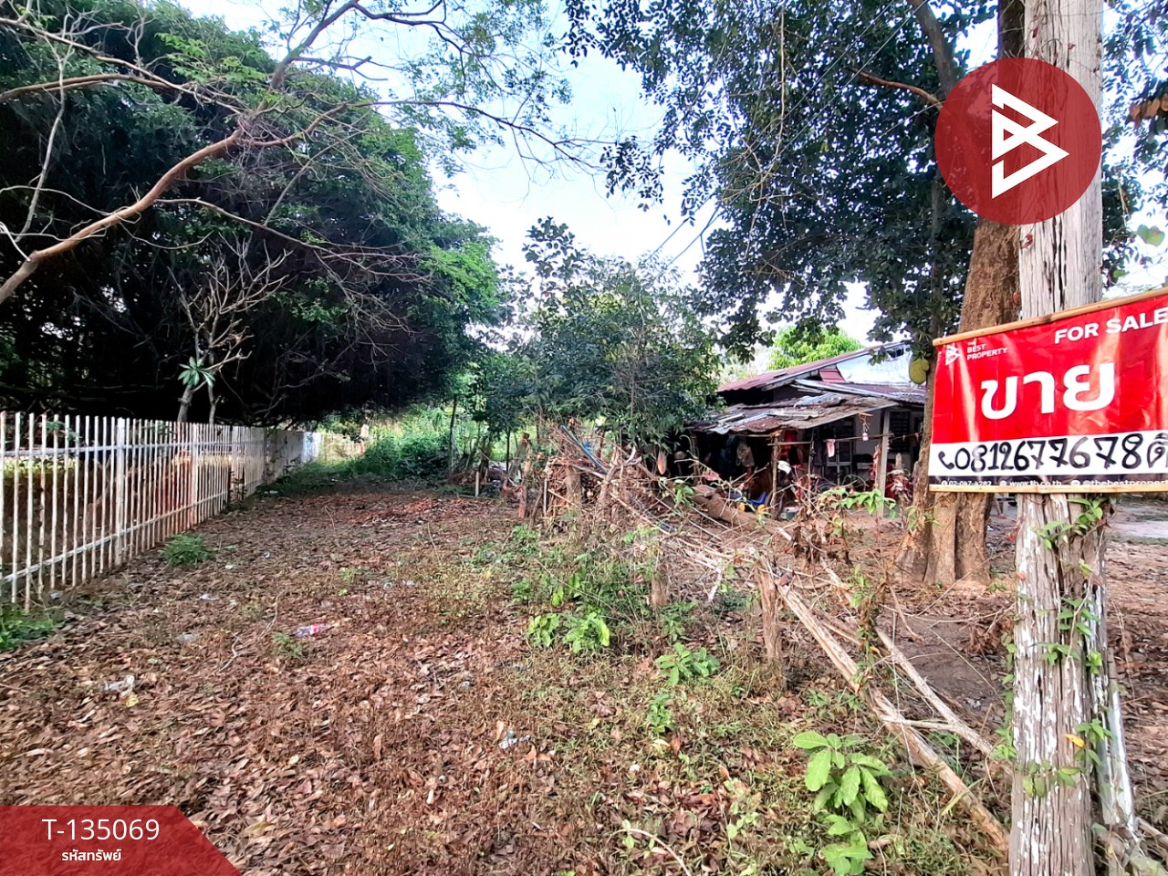 ขายที่ดิน เนื้อที่ 7 ไร่ 44.3 ตร.วา โนนรัง ร้อยเอ็ด 1