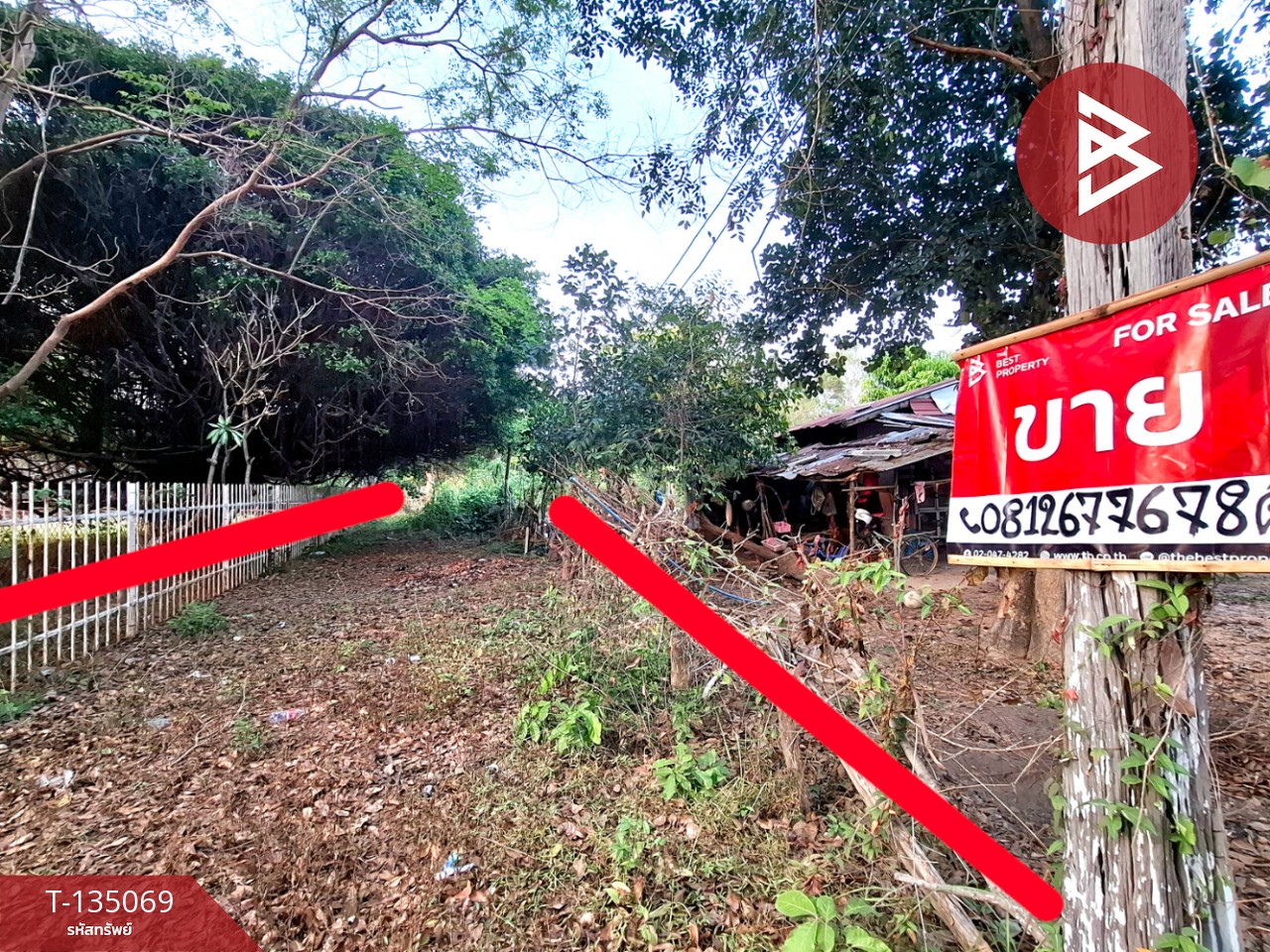 ขายที่ดิน เนื้อที่ 7 ไร่ 44.3 ตร.วา โนนรัง ร้อยเอ็ด 2