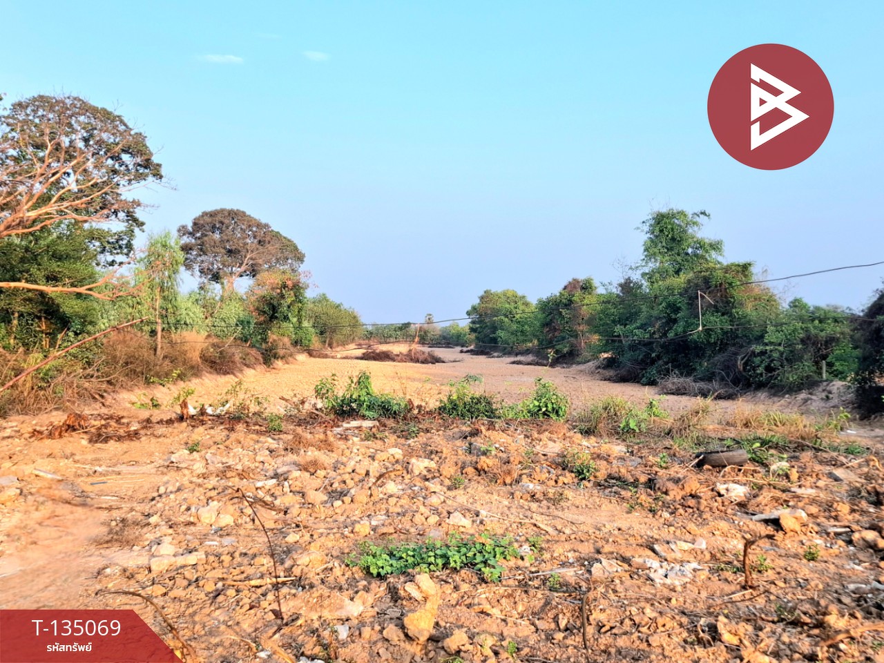 ขายที่ดิน เนื้อที่ 7 ไร่ 44.3 ตร.วา โนนรัง ร้อยเอ็ด 9