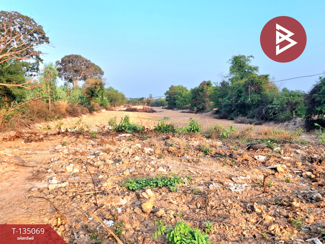 ขายที่ดิน เนื้อที่ 7 ไร่ 44.3 ตร.วา โนนรัง ร้อยเอ็ด 12