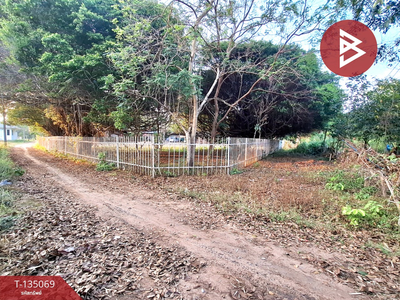 ขายที่ดิน เนื้อที่ 7 ไร่ 44.3 ตร.วา โนนรัง ร้อยเอ็ด 11