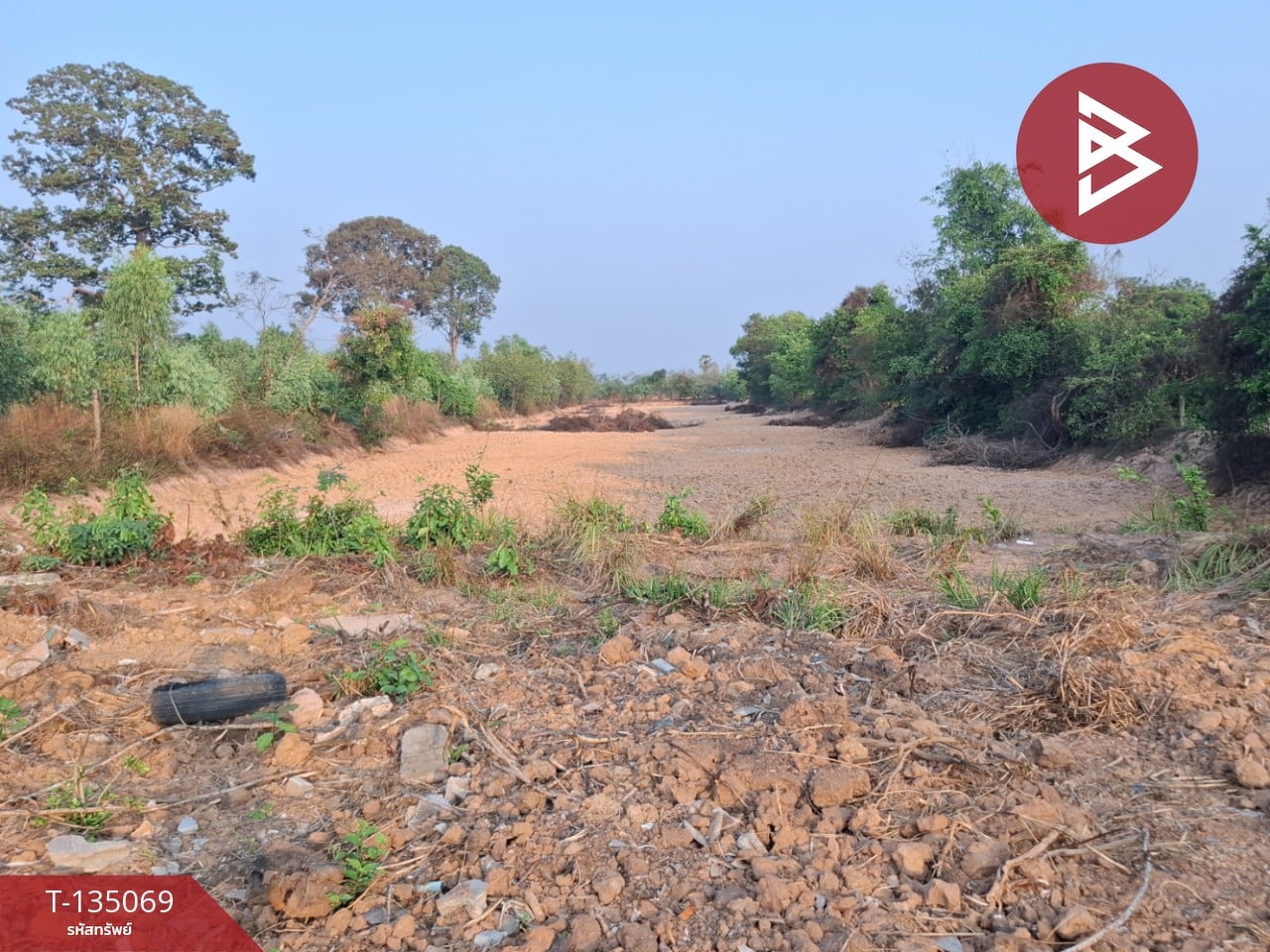 ขายที่ดิน เนื้อที่ 7 ไร่ 44.3 ตร.วา โนนรัง ร้อยเอ็ด 15