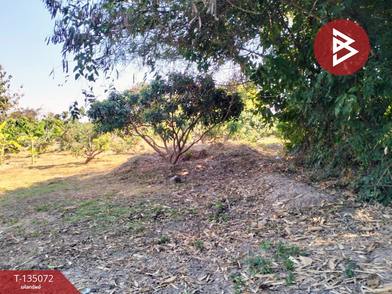 ขายที่ดิน เนื้อที่ 1 ไร่ 2 งาน 46 ตร.วา จอมทอง เชียงใหม่ 10