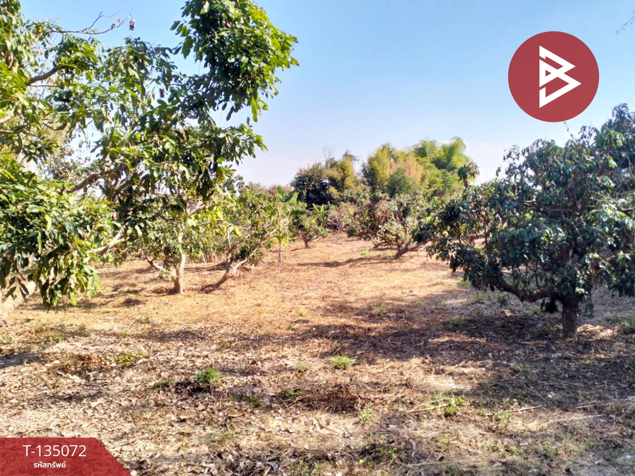 ขายที่ดิน เนื้อที่ 1 ไร่ 2 งาน 46 ตร.วา จอมทอง เชียงใหม่ 7