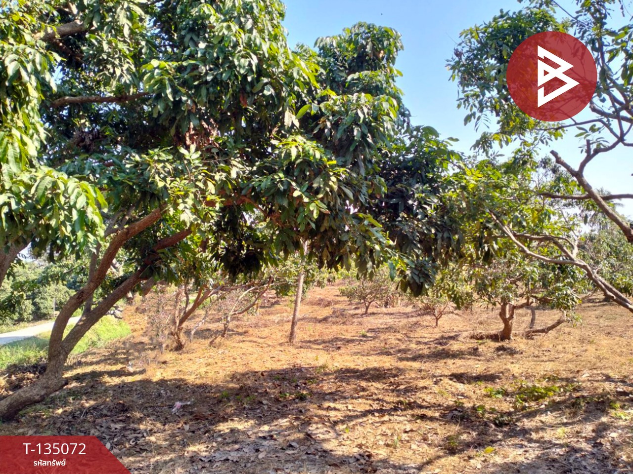 ขายที่ดิน เนื้อที่ 1 ไร่ 2 งาน 46 ตร.วา จอมทอง เชียงใหม่ 6