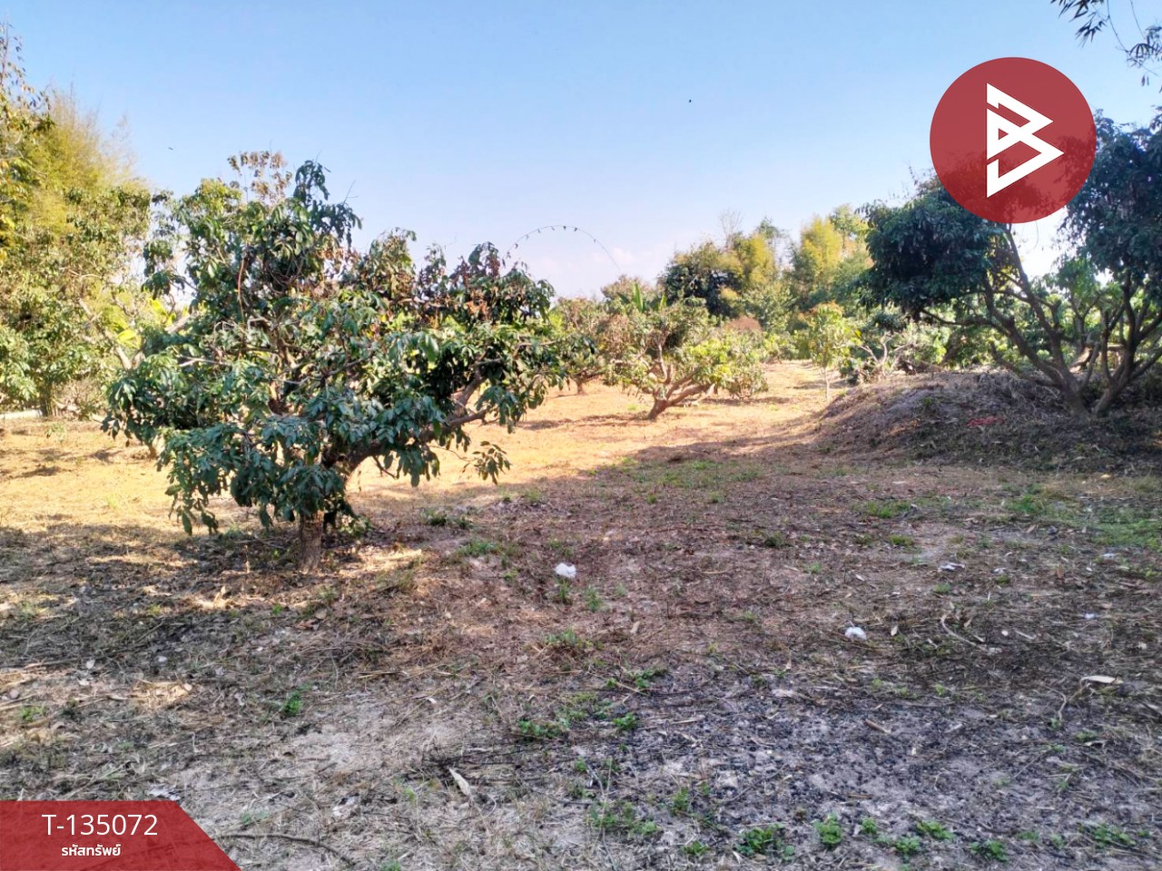 ขายที่ดิน เนื้อที่ 1 ไร่ 2 งาน 46 ตร.วา จอมทอง เชียงใหม่ 11