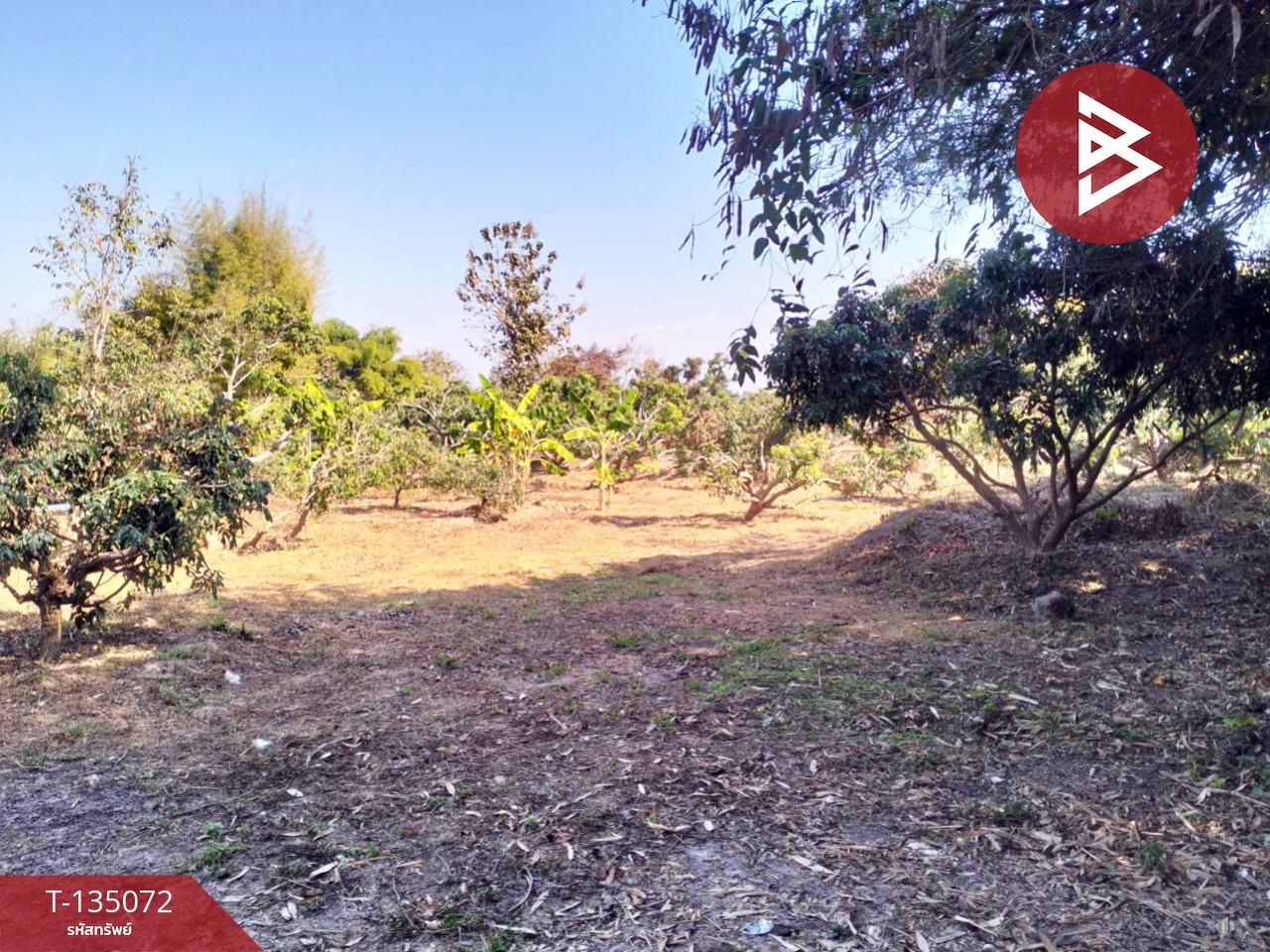 ขายที่ดิน เนื้อที่ 1 ไร่ 2 งาน 46 ตร.วา จอมทอง เชียงใหม่ 12