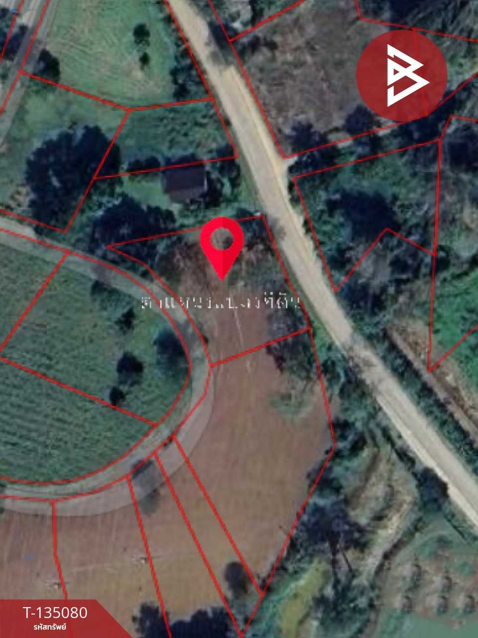 ขายที่ดิน เนื้อที่ 3 งาน 81 ตารางวา เขาค้อ เพชรบรูณ์ 2