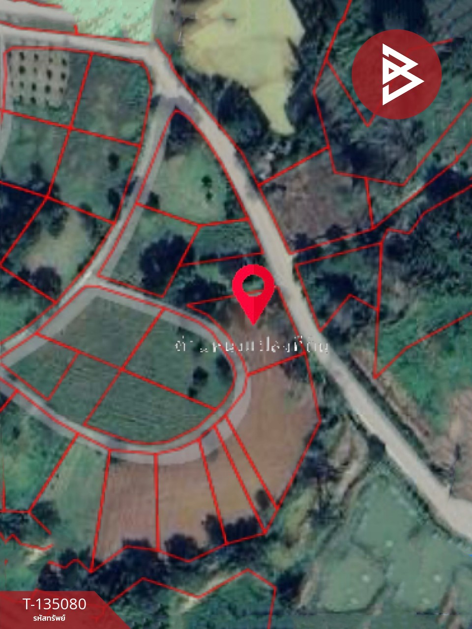 ขายที่ดิน เนื้อที่ 3 งาน 81 ตารางวา เขาค้อ เพชรบรูณ์ 1