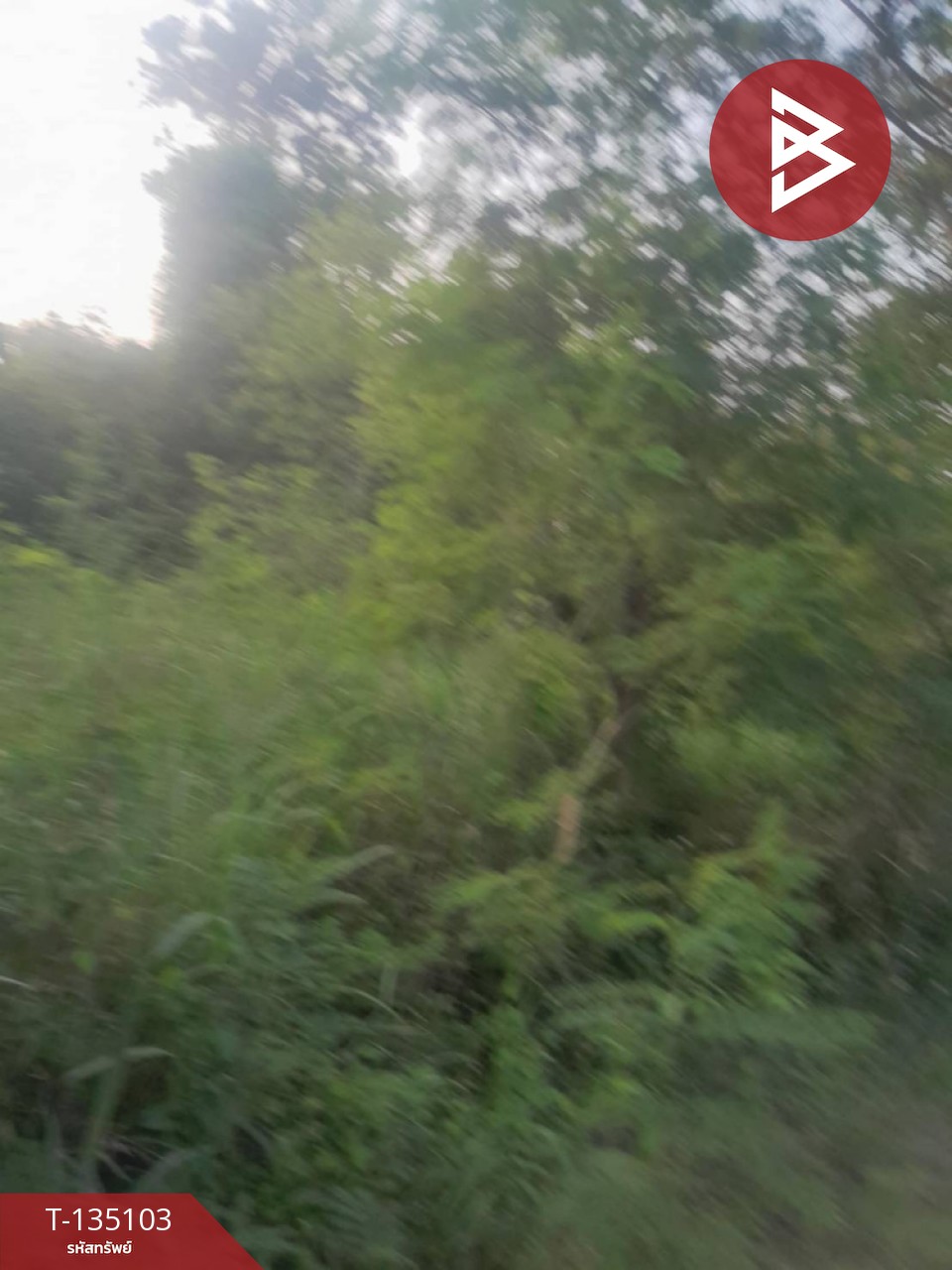 ขายที่ดิน เนื้อที่ 3 งาน 37.5 ตร.วา บางสะพาน ประจวบคีรีขันธ์ 3