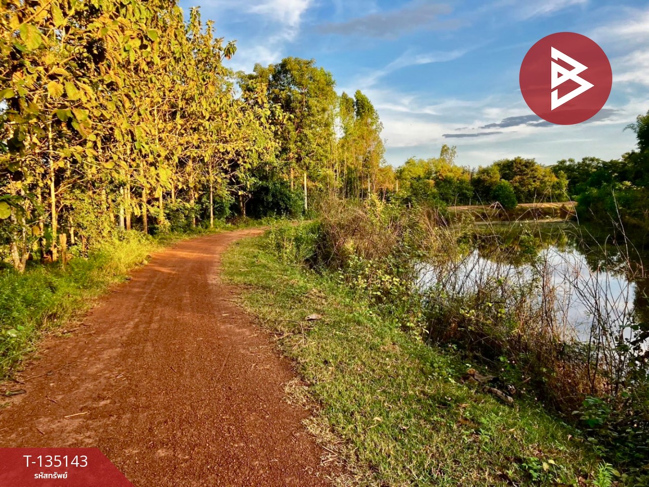 ขายที่ดิน เนื้อที่ 17 ไร่ 87 ตารางวา อ.ประจันตคาม จ.ปราจีนบุรี 9