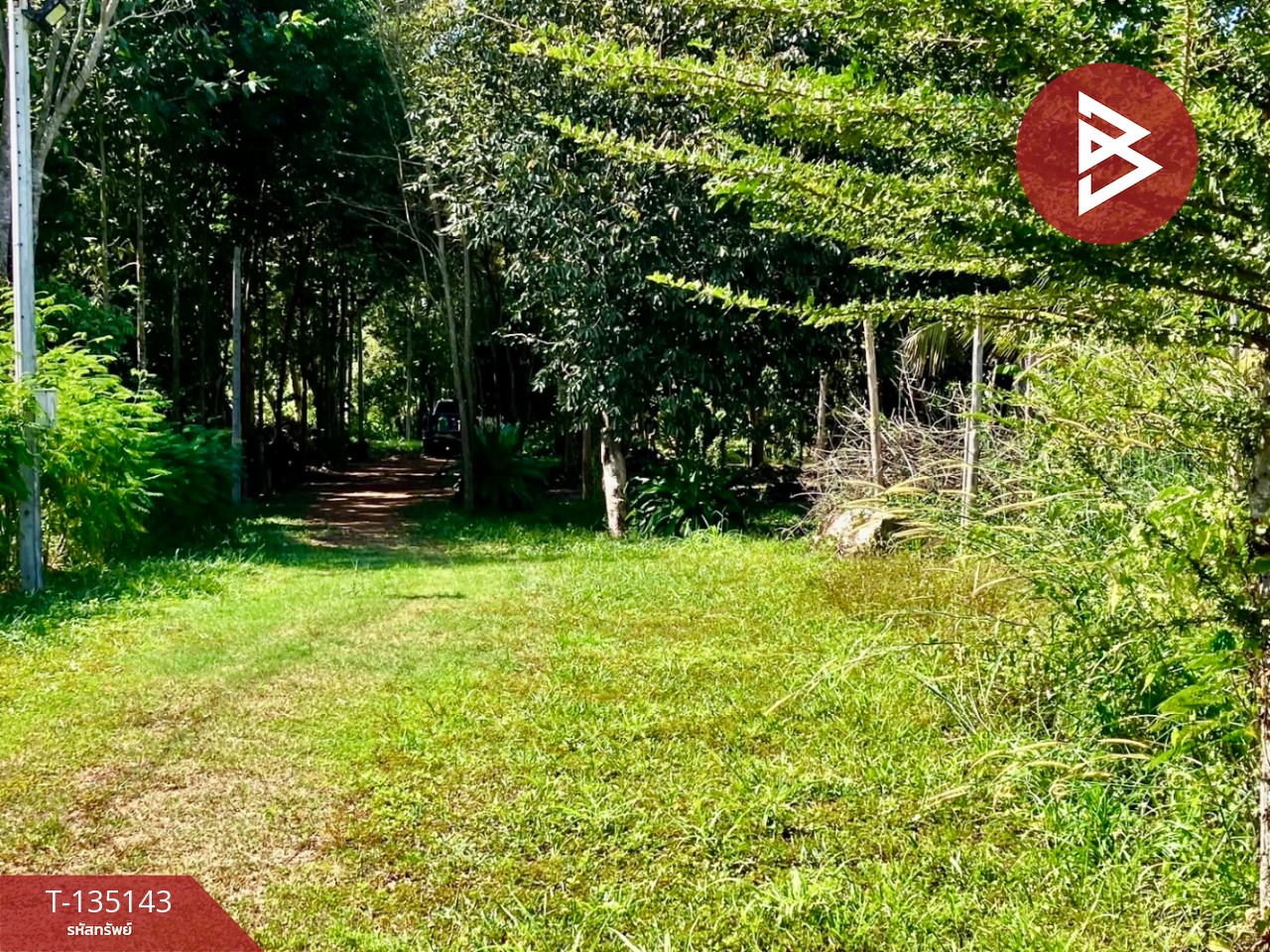 ขายที่ดิน เนื้อที่ 17 ไร่ 87 ตารางวา อ.ประจันตคาม จ.ปราจีนบุรี 6