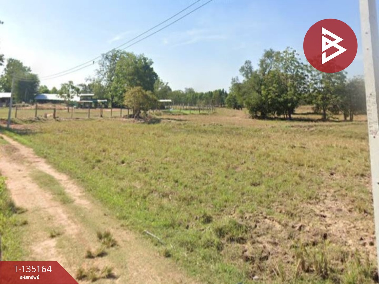 ขายด่วนที่ดินแปลงใหญ่ แบ่งขายเนื้อที่ 9 ไร่ อ.บัวใหญ่ นครราชสีมา 1