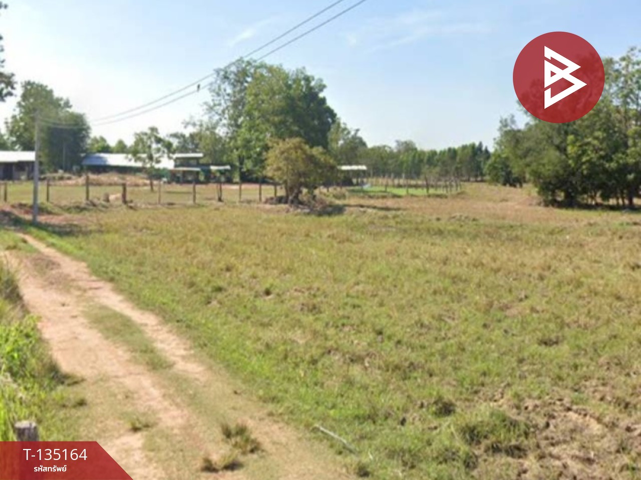 ขายด่วนที่ดินแปลงใหญ่ แบ่งขายเนื้อที่ 9 ไร่ อ.บัวใหญ่ นครราชสีมา 2