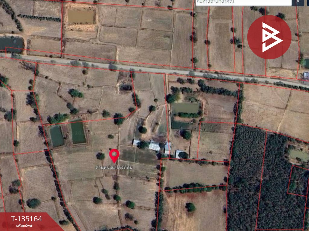 ขายด่วนที่ดินแปลงใหญ่ แบ่งขายเนื้อที่ 9 ไร่ อ.บัวใหญ่ นครราชสีมา 4