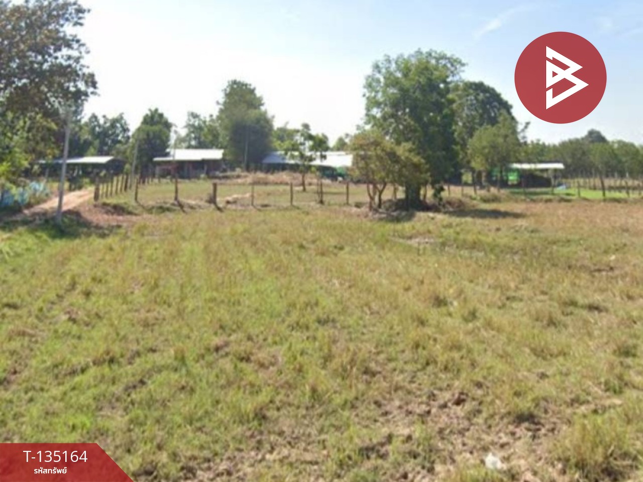 ขายด่วนที่ดินแปลงใหญ่ แบ่งขายเนื้อที่ 9 ไร่ อ.บัวใหญ่ นครราชสีมา 3