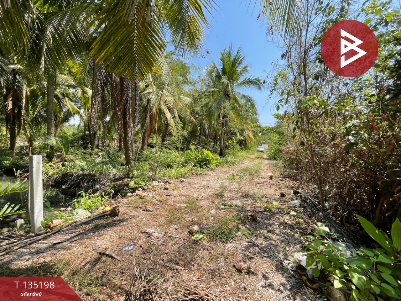 ขายที่ดิน เนื้อที่ 1 งาน 2.7 ตร.วา คลองเขิน สมุทรสงคราม 3