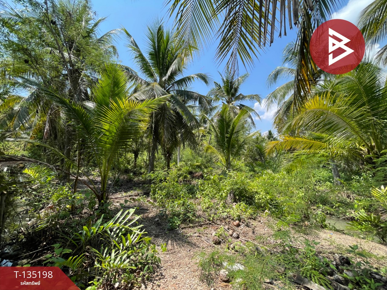 ขายที่ดิน เนื้อที่ 1 งาน 2.7 ตร.วา คลองเขิน สมุทรสงคราม 1