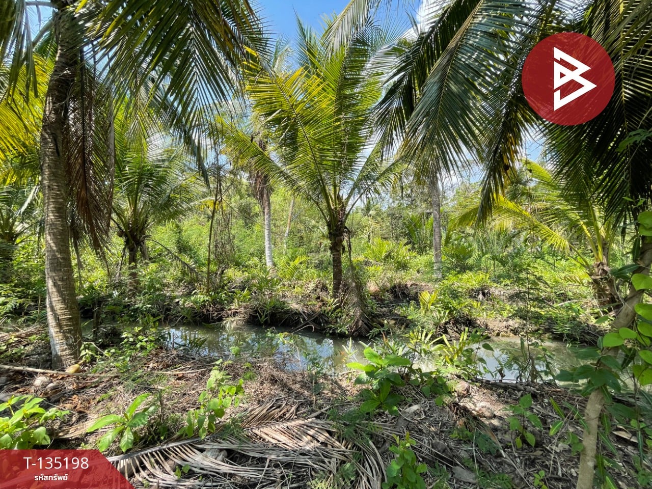 ขายที่ดิน เนื้อที่ 1 งาน 2.7 ตร.วา คลองเขิน สมุทรสงคราม 5