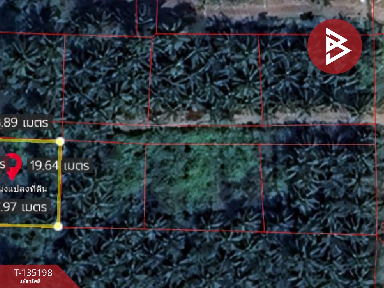 ขายที่ดิน เนื้อที่ 1 งาน 2.7 ตร.วา คลองเขิน สมุทรสงคราม 6