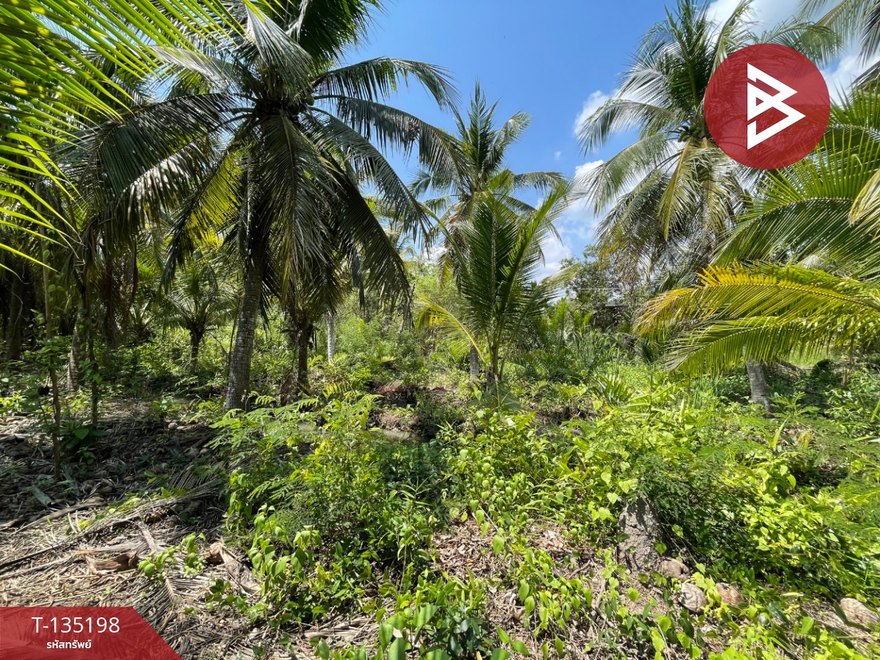 ขายที่ดิน เนื้อที่ 1 งาน 2.7 ตร.วา คลองเขิน สมุทรสงคราม 4