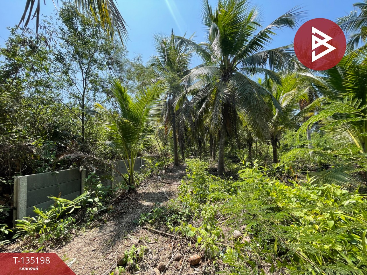 ขายที่ดิน เนื้อที่ 1 งาน 2.7 ตร.วา คลองเขิน สมุทรสงคราม 2