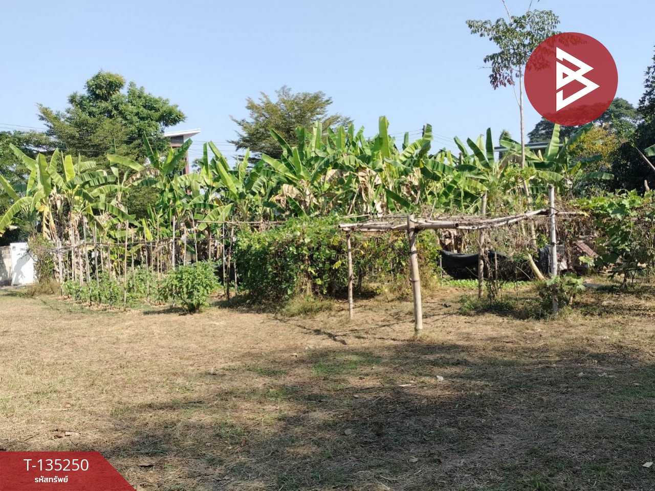 ขายที่ดิน เนื้อที่ 2 งาน 23 ตร.วา ในเมือง พิษณุโลก 4