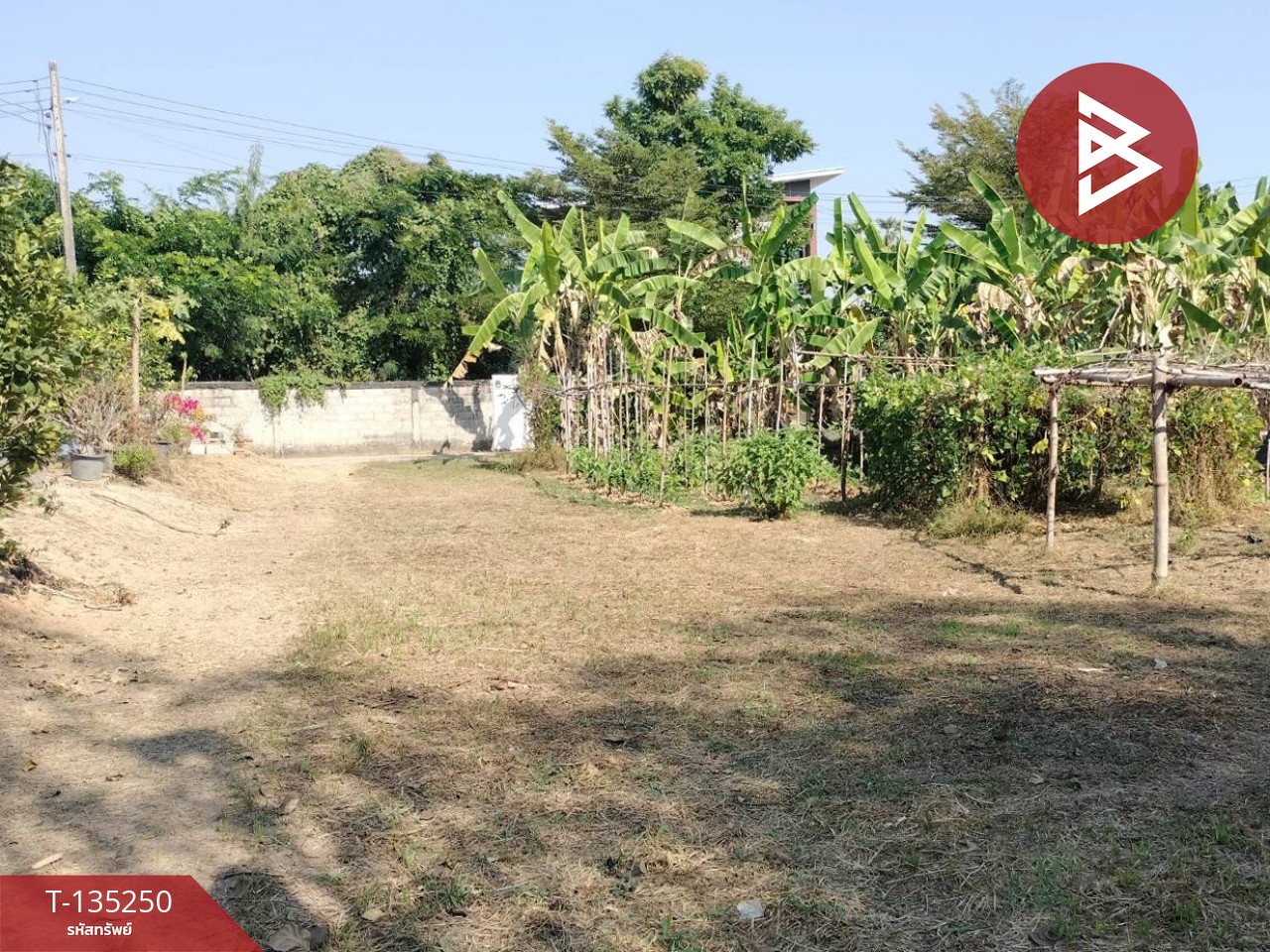 ขายที่ดิน เนื้อที่ 2 งาน 23 ตร.วา ในเมือง พิษณุโลก 1