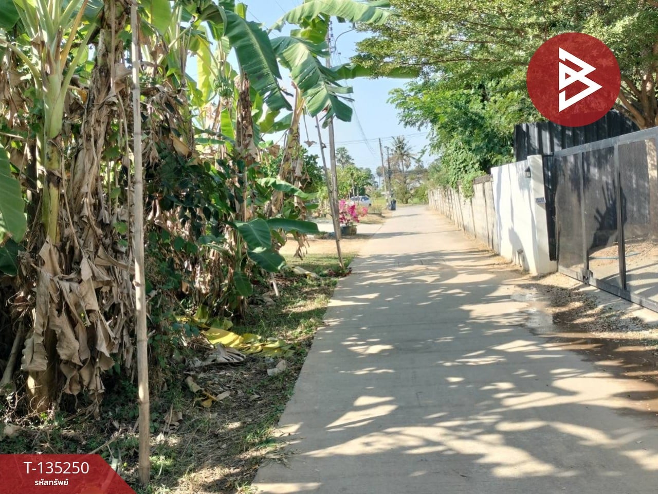 ขายที่ดิน เนื้อที่ 2 งาน 23 ตร.วา ในเมือง พิษณุโลก 8