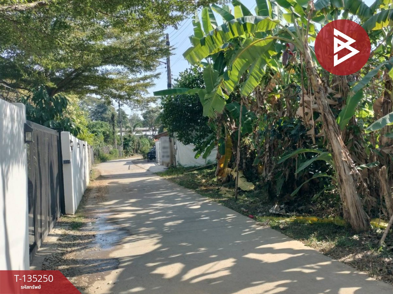 ขายที่ดิน เนื้อที่ 2 งาน 23 ตร.วา ในเมือง พิษณุโลก 7