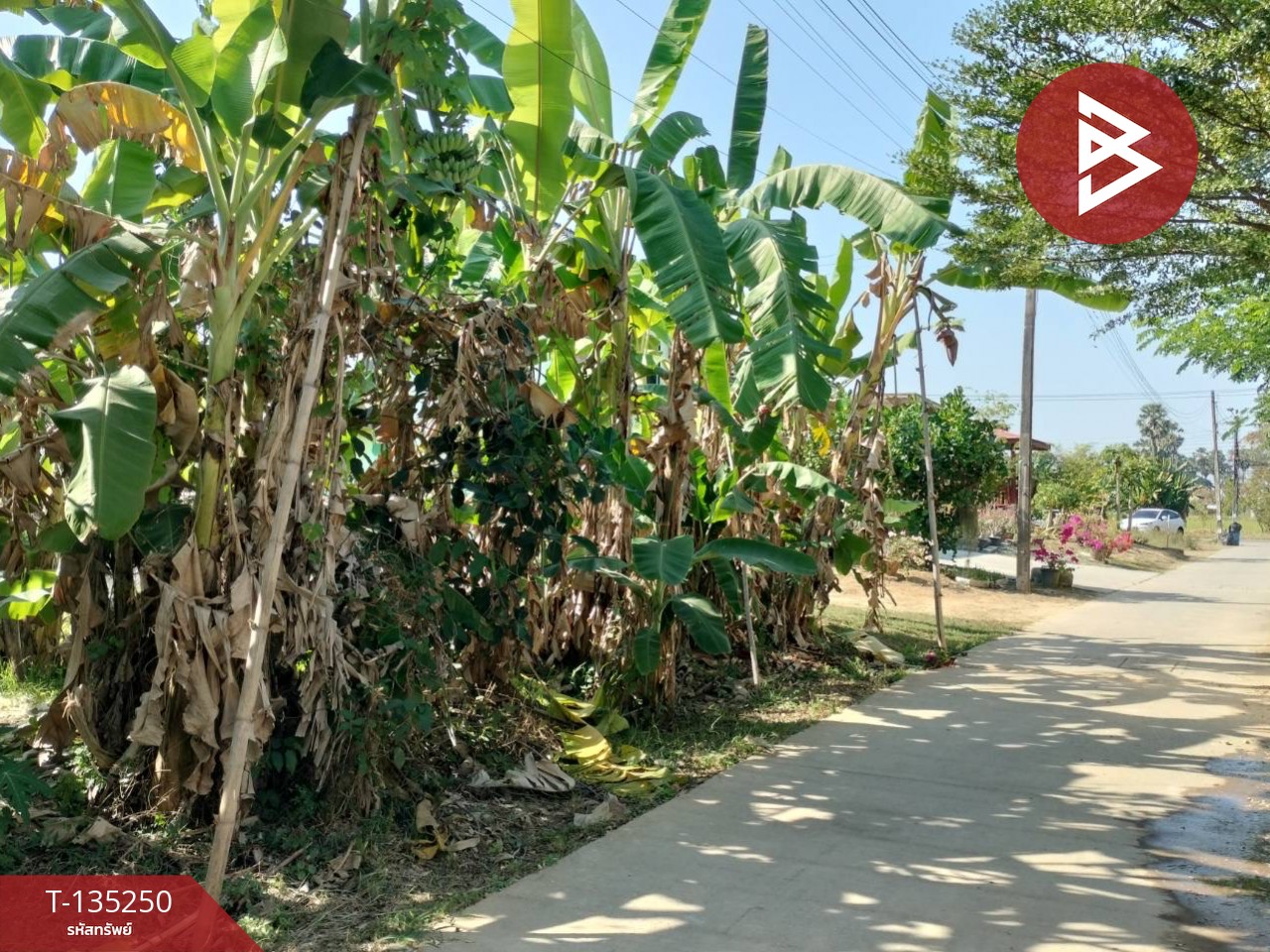 ขายที่ดิน เนื้อที่ 2 งาน 23 ตร.วา ในเมือง พิษณุโลก 9