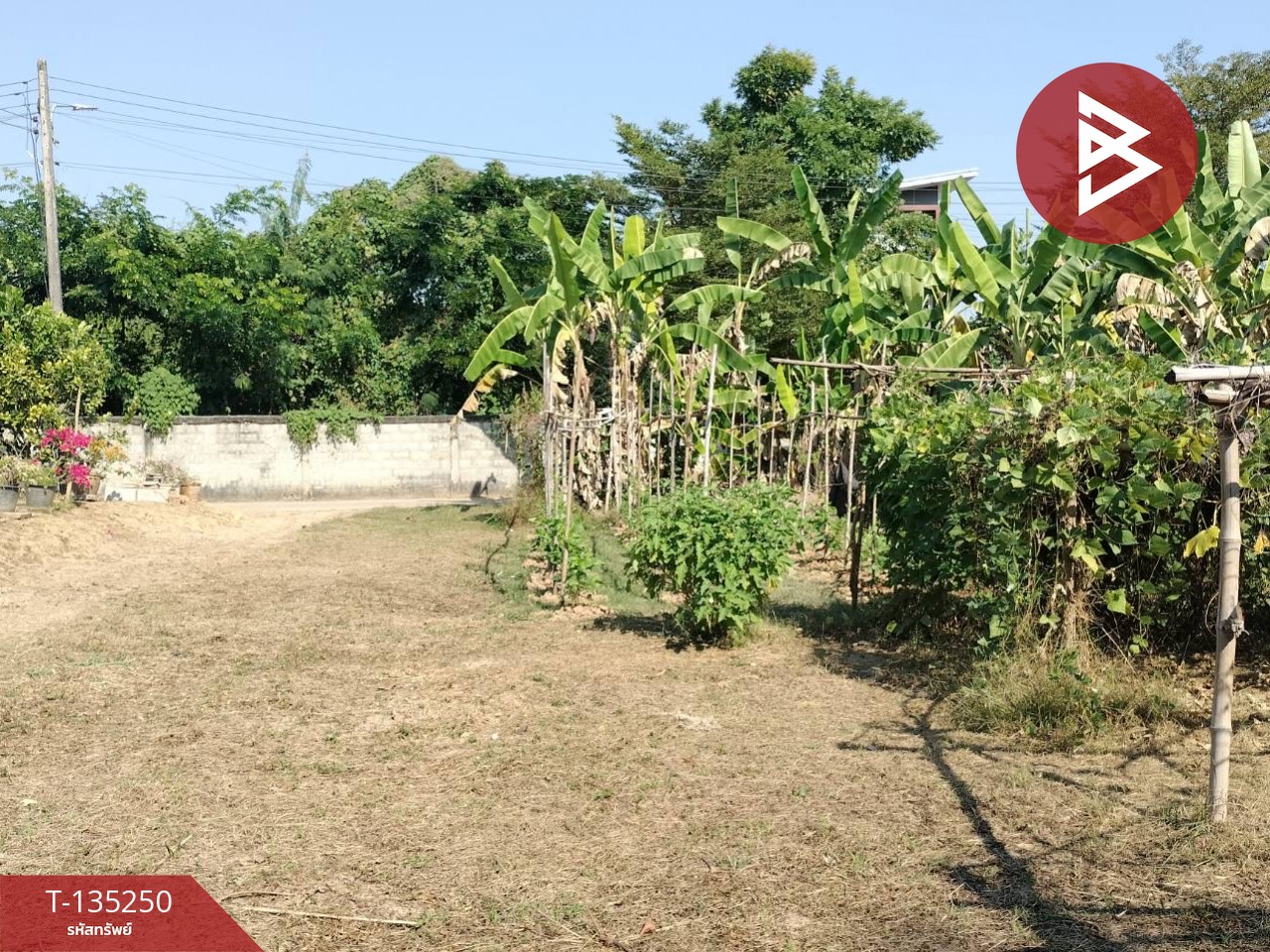 ขายที่ดิน เนื้อที่ 2 งาน 23 ตร.วา ในเมือง พิษณุโลก 3