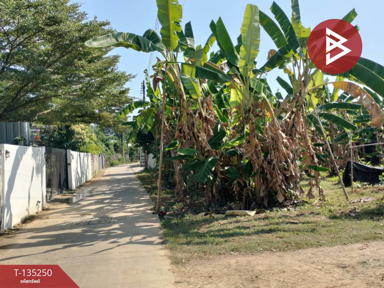 ขายที่ดิน เนื้อที่ 2 งาน 23 ตร.วา ในเมือง พิษณุโลก 6