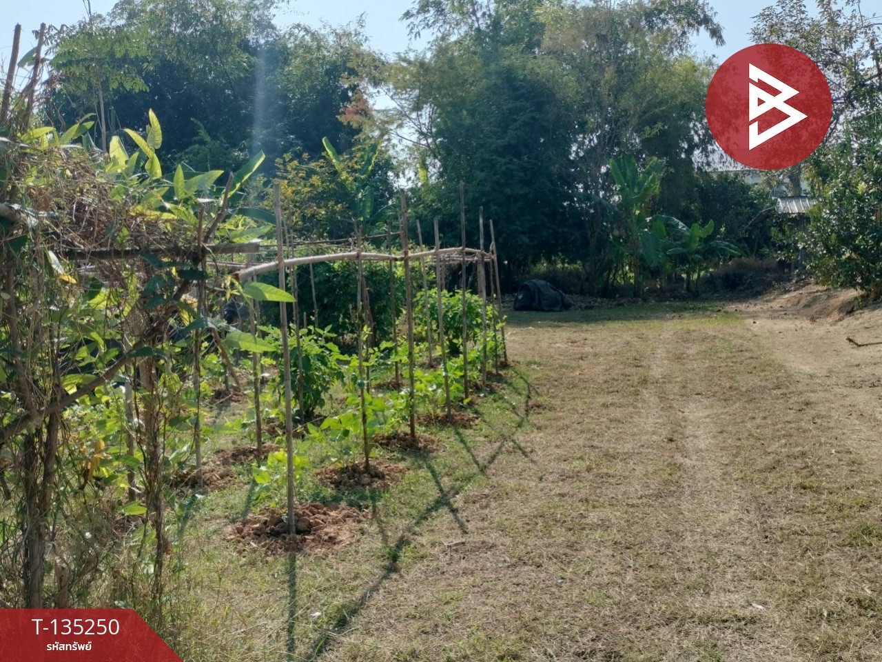 ขายที่ดิน เนื้อที่ 2 งาน 23 ตร.วา ในเมือง พิษณุโลก 2