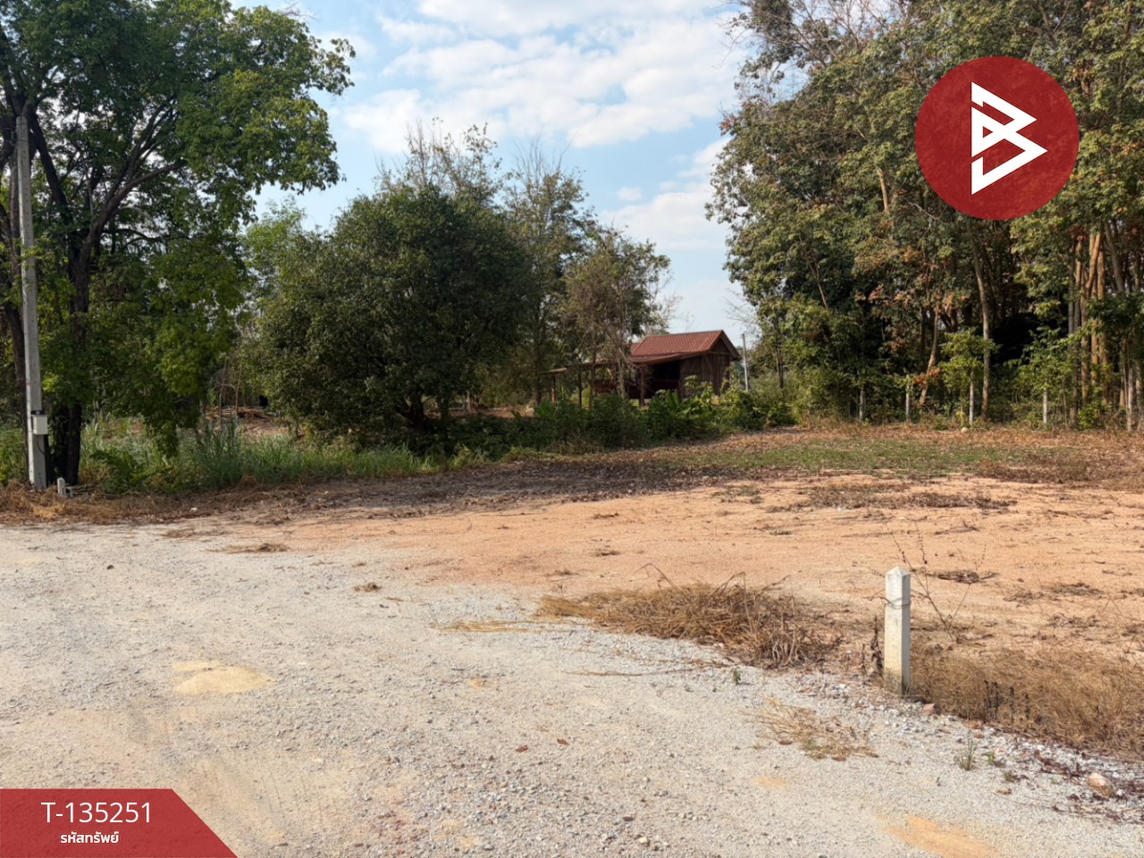 ขายที่ดิน เนื้อที่ 1 งาน บ้านค่าย ระยอง 2