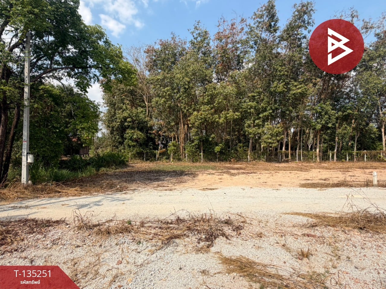 ขายที่ดิน เนื้อที่ 1 งาน บ้านค่าย ระยอง 3