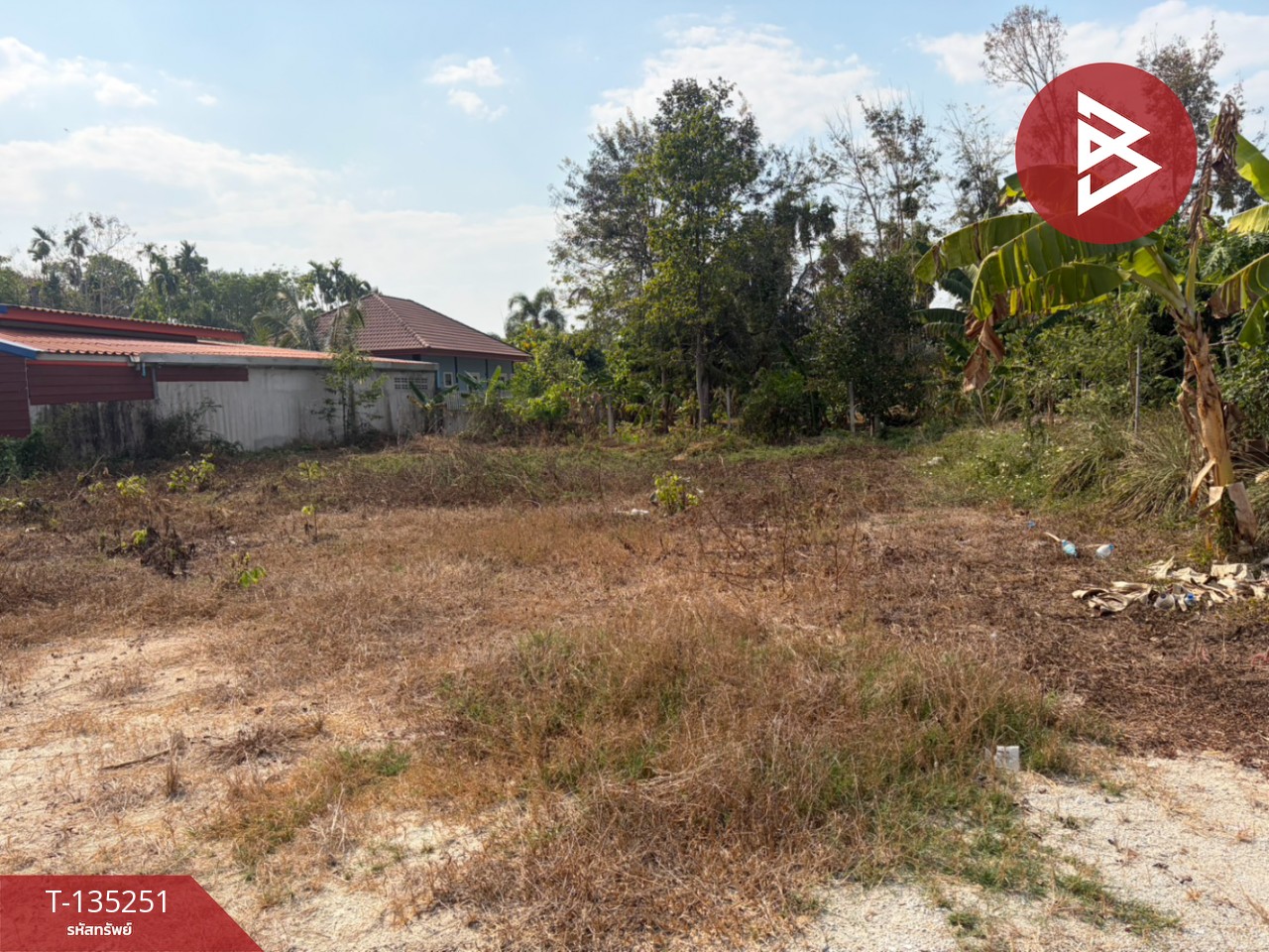 ขายที่ดิน เนื้อที่ 1 งาน บ้านค่าย ระยอง 4