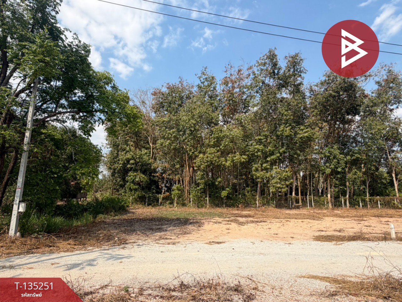 ขายที่ดิน เนื้อที่ 1 งาน บ้านค่าย ระยอง 1